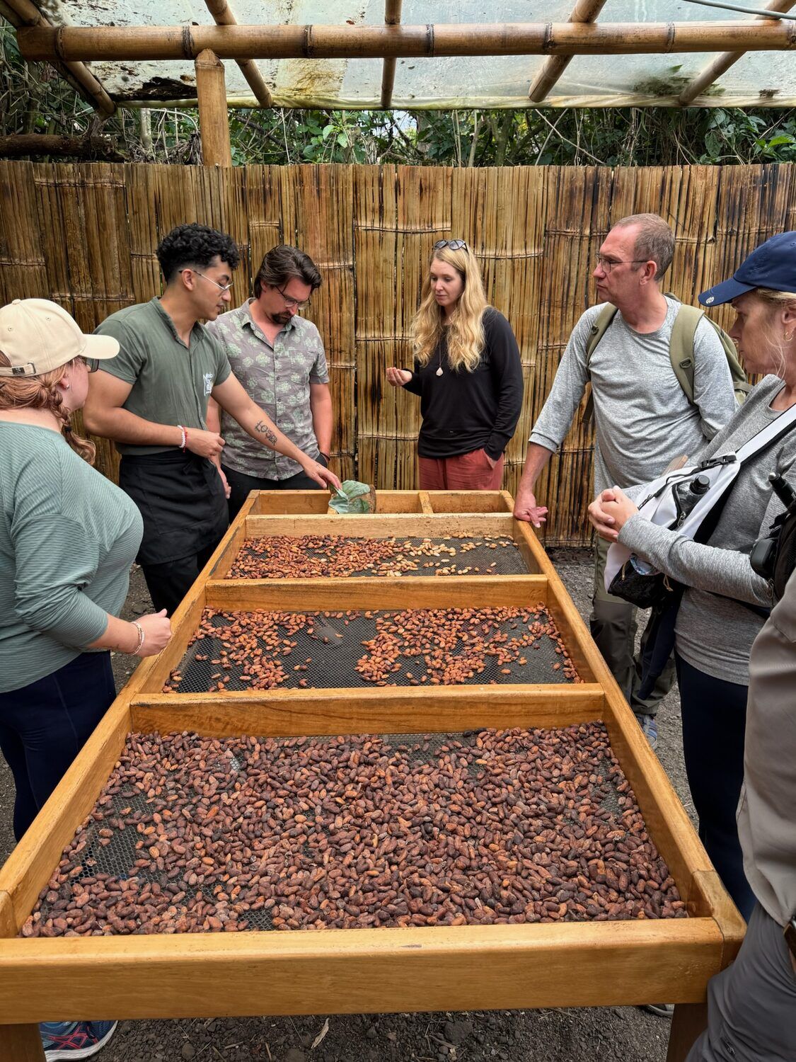 Cacao sourcing