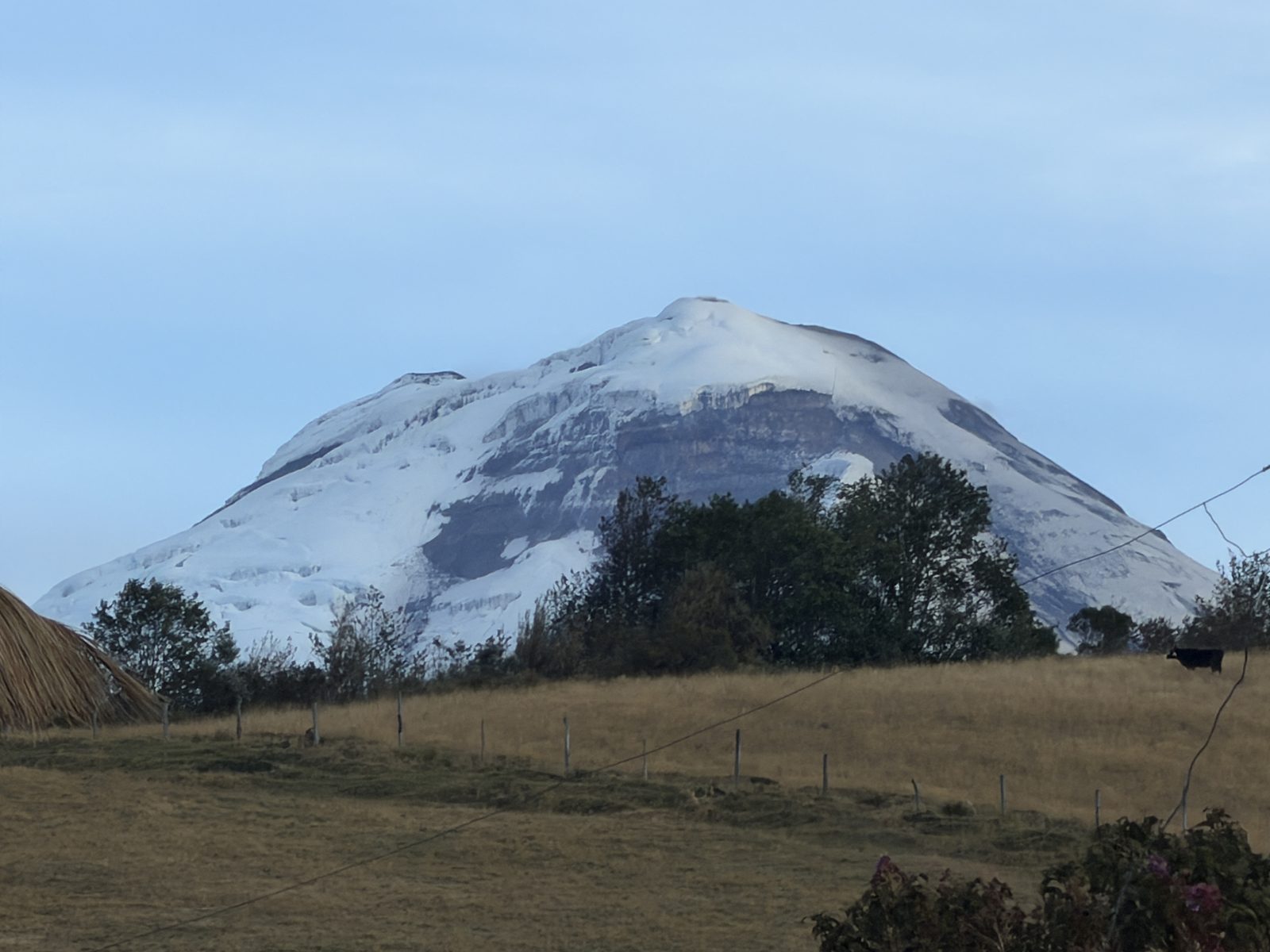 Cayambe, the snow-capped volcano above Ecuador's rose-growing highlands