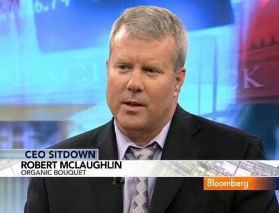 Robert McLaughlin on Bloomberg TV